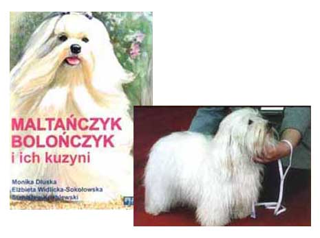 Bez nazwy 1 kopia (31K)