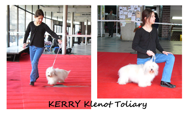 P1040663kerry (206K)