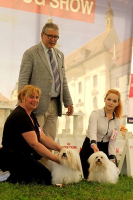 bestcouplesibiu (84K)