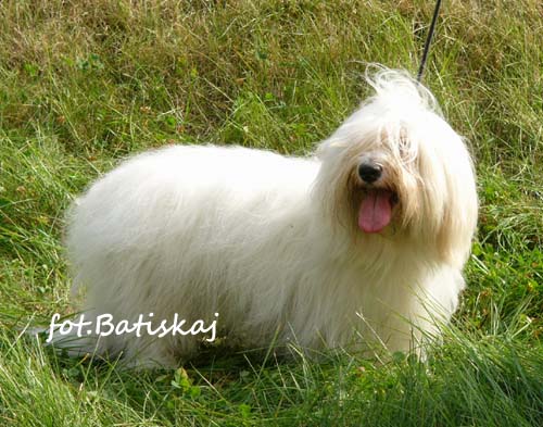 bisialipsk (69K)